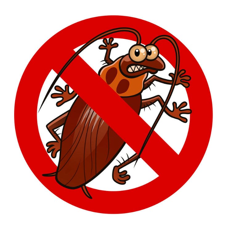 say no to cockroach